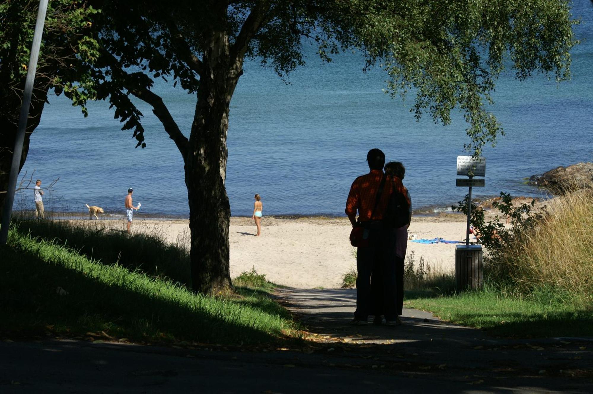 Sandkaas Family Camping & Cottages Allinge-Sandvig Екстериор снимка